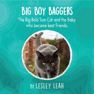 Big Boy Baggers: The Big Bold Tom Cat and the Baby Who Became Best Friends