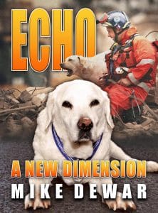 Echo – A New Dimension