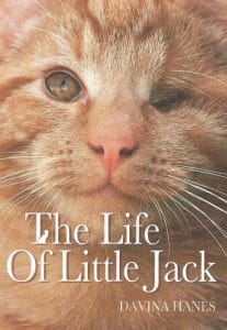 The Life of Little Jack