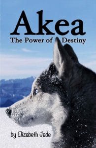 Akea: The Power of Destiny
